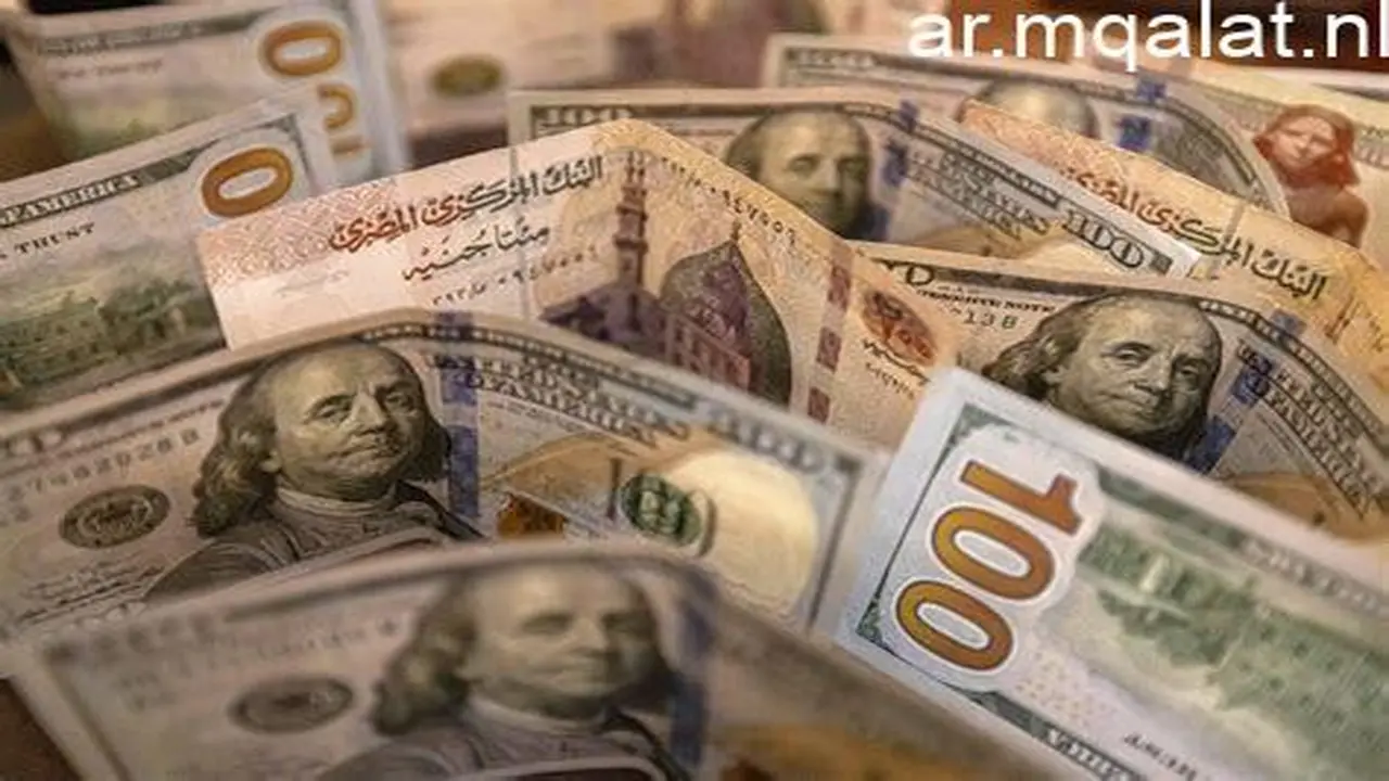 تراجع 24 قرشاً.. سعر الدولار يسجل مستويات جديدة مقابل الجنيه بنهاية الأسبوع